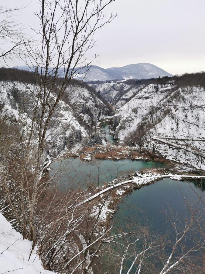 게스트하우스 블라젠카 호닥 셀리스테 드레즈니크 외부 사진
